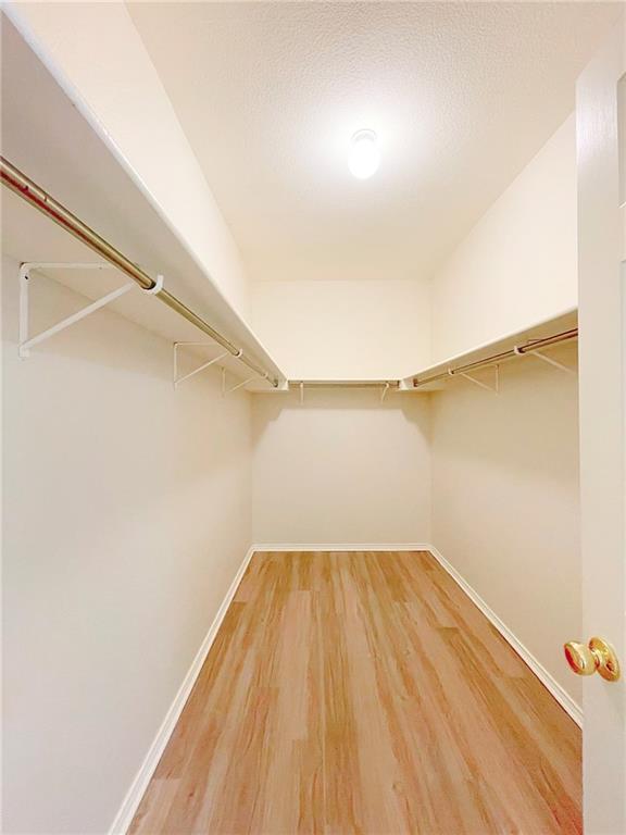 Building Photo - 2211 Little Tree Bend