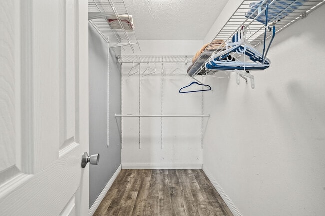 Building Photo - 4004 Centavo Ct