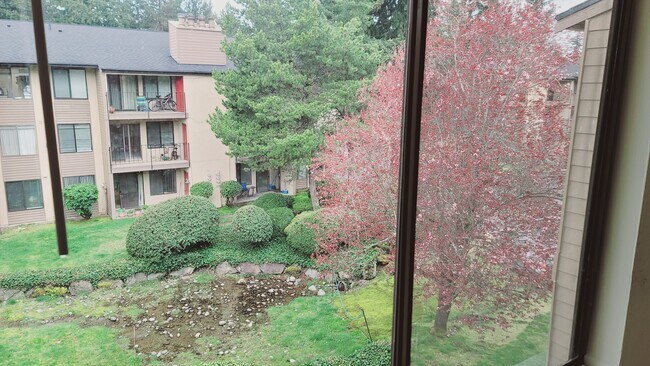 Window view from dining area - 16245 NE 12th Ct