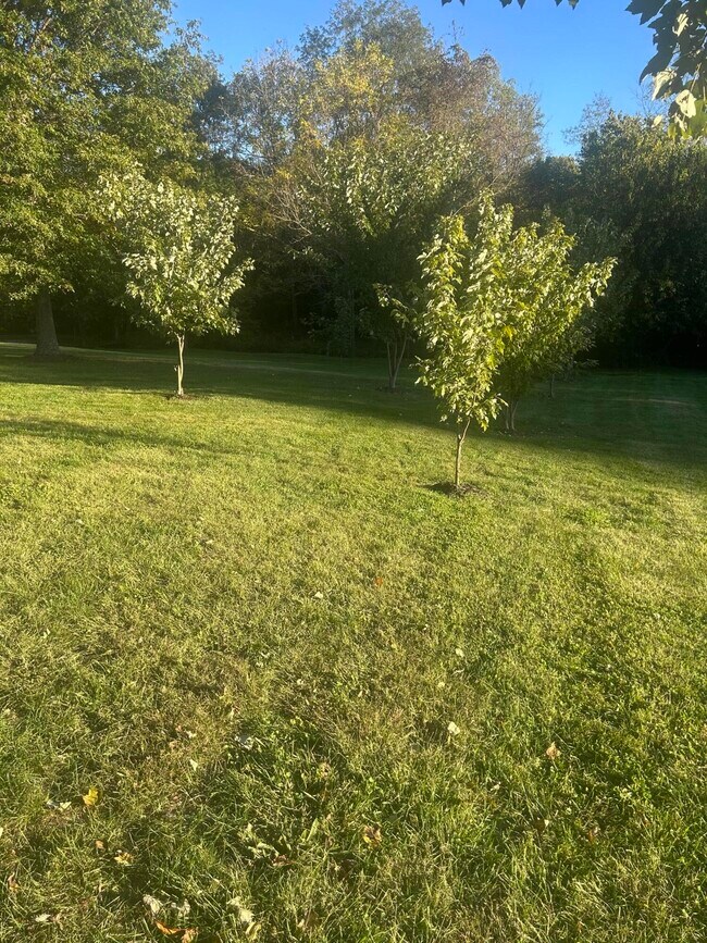 Building Photo - 409 Lawson Dr