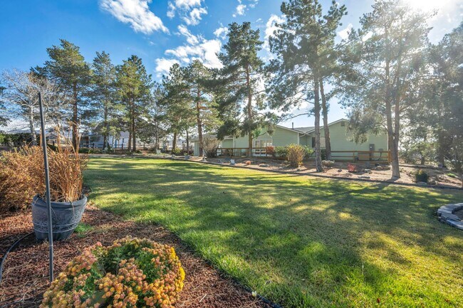 Building Photo - Single Story Home Located on a Ranch