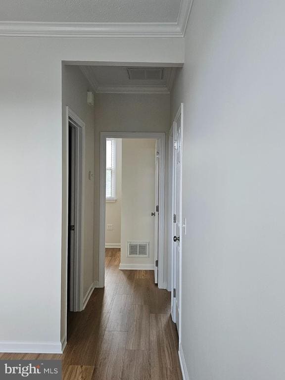 Building Photo - 1310 Ramseur Ln