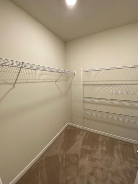 Building Photo - 1147 Sugarwood St