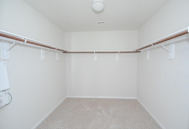 Building Photo - 5827 Banyan Oak Ct