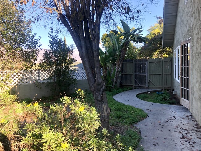 Side yard facing Taormina Lane towards south - 110 Taormina Ln