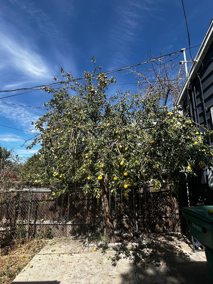 Building Photo - 2019 Adams Ave