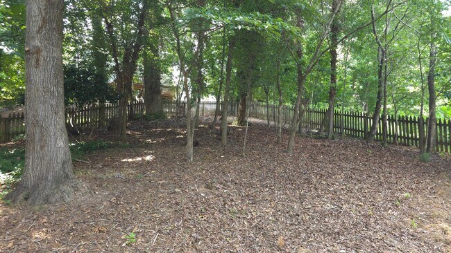 Building Photo - 10480 Summer Creek Dr