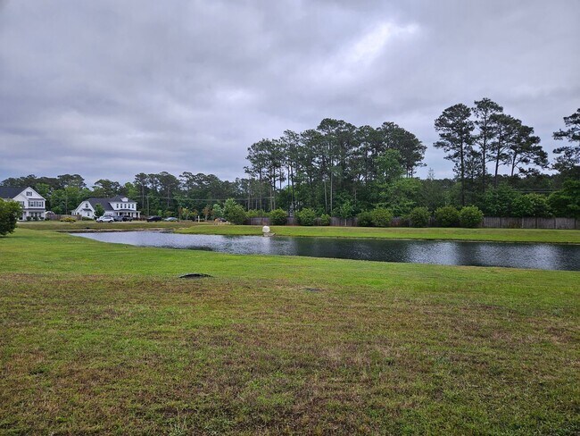 Building Photo - Beautiful 4 bedroom, 2.5 Bath unfurnished home located in Songbird Landing Community - Hampstead