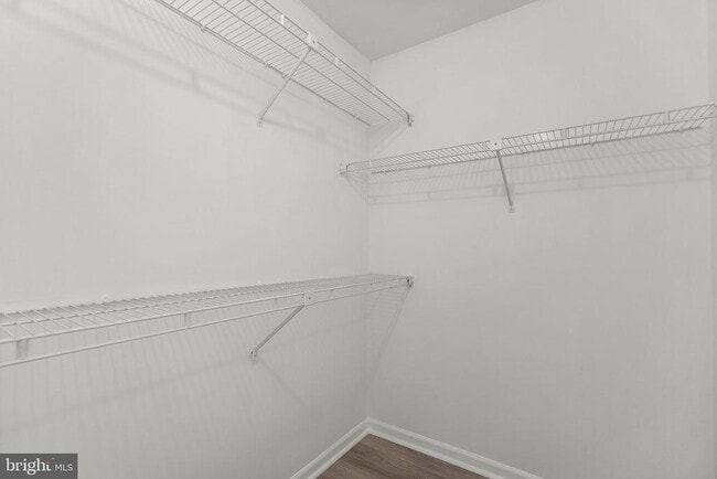 Building Photo - 10805 Hampton Mill Terrace