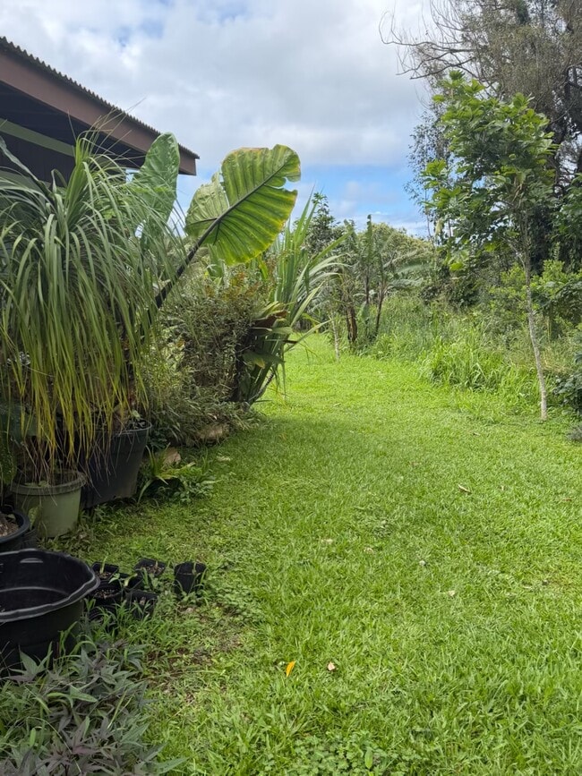 Building Photo - 20 Leahi Pl