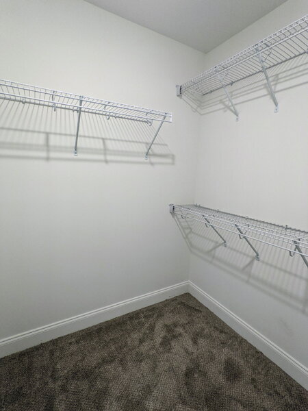 Building Photo - 417 Live Oak Dr