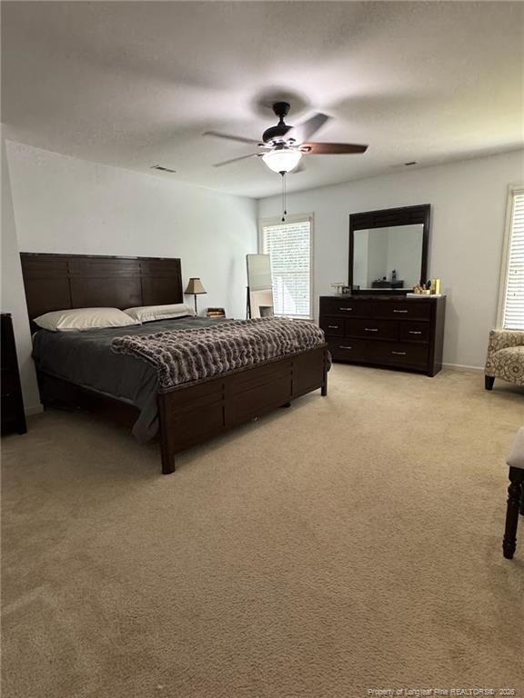 Building Photo - 241 Blue Bay Ln