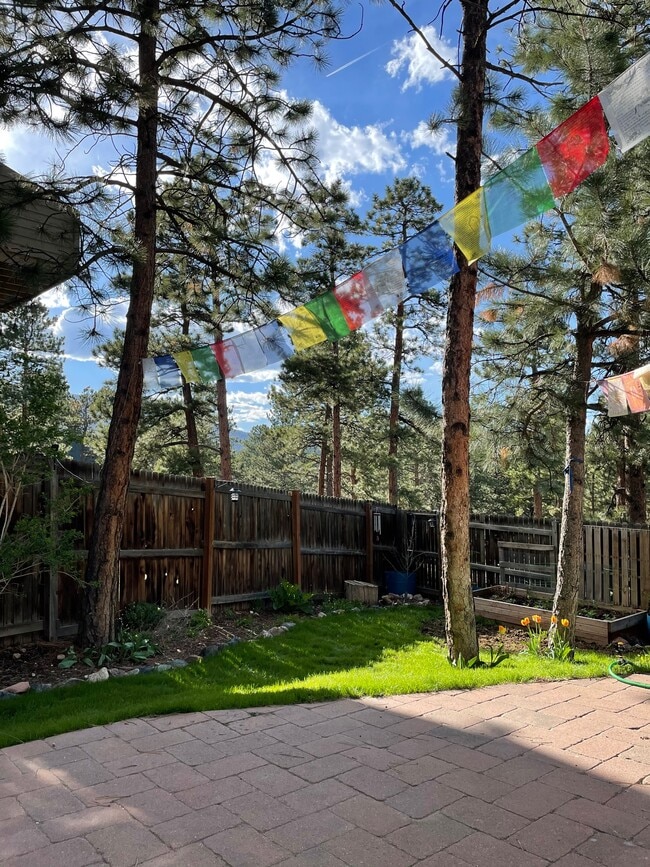 Backyard - 3037 Forest Way