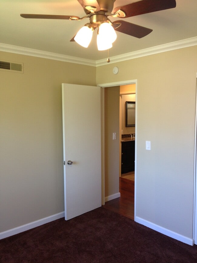 Building Photo - 841 Cortez St