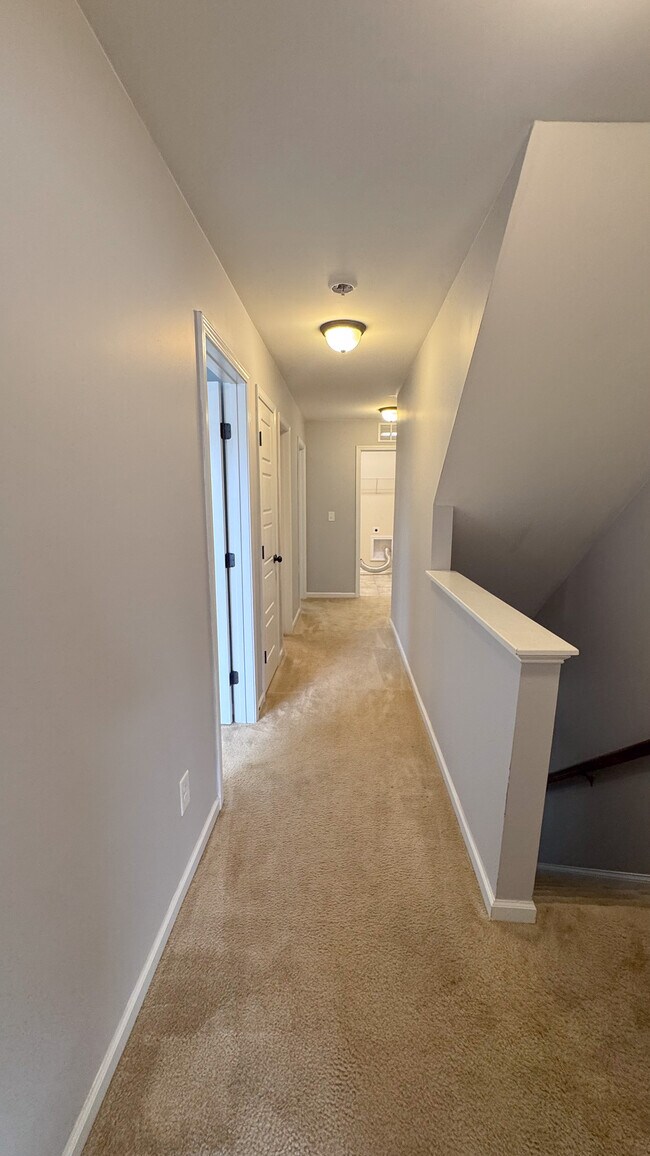 Building Photo - 429 Bald Cypress Ln