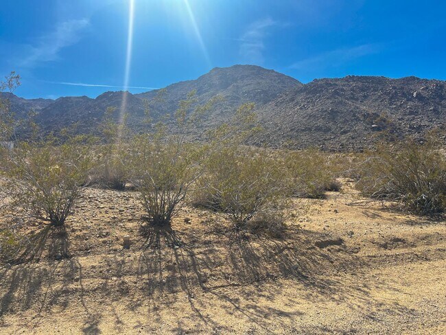 Building Photo - 3 Bedroom 2 bath Home in 29 Palms