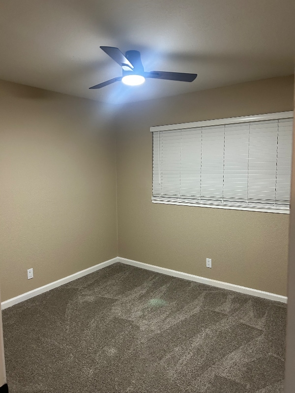 Building Photo - 5200 Roseana Ct