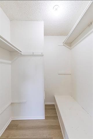 Building Photo - 2965 Button Willow Pkwy