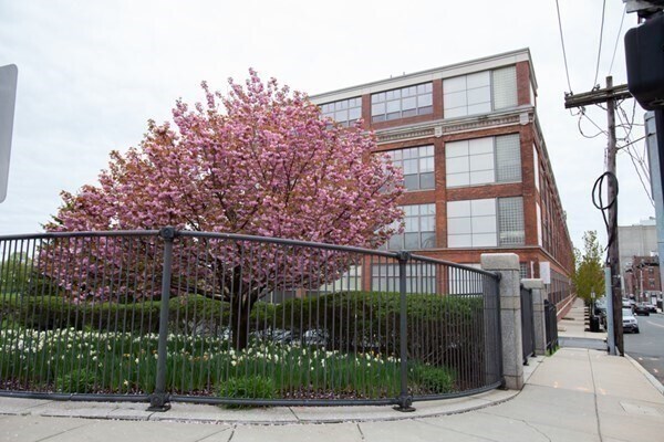 Building Photo - 156 Porter St