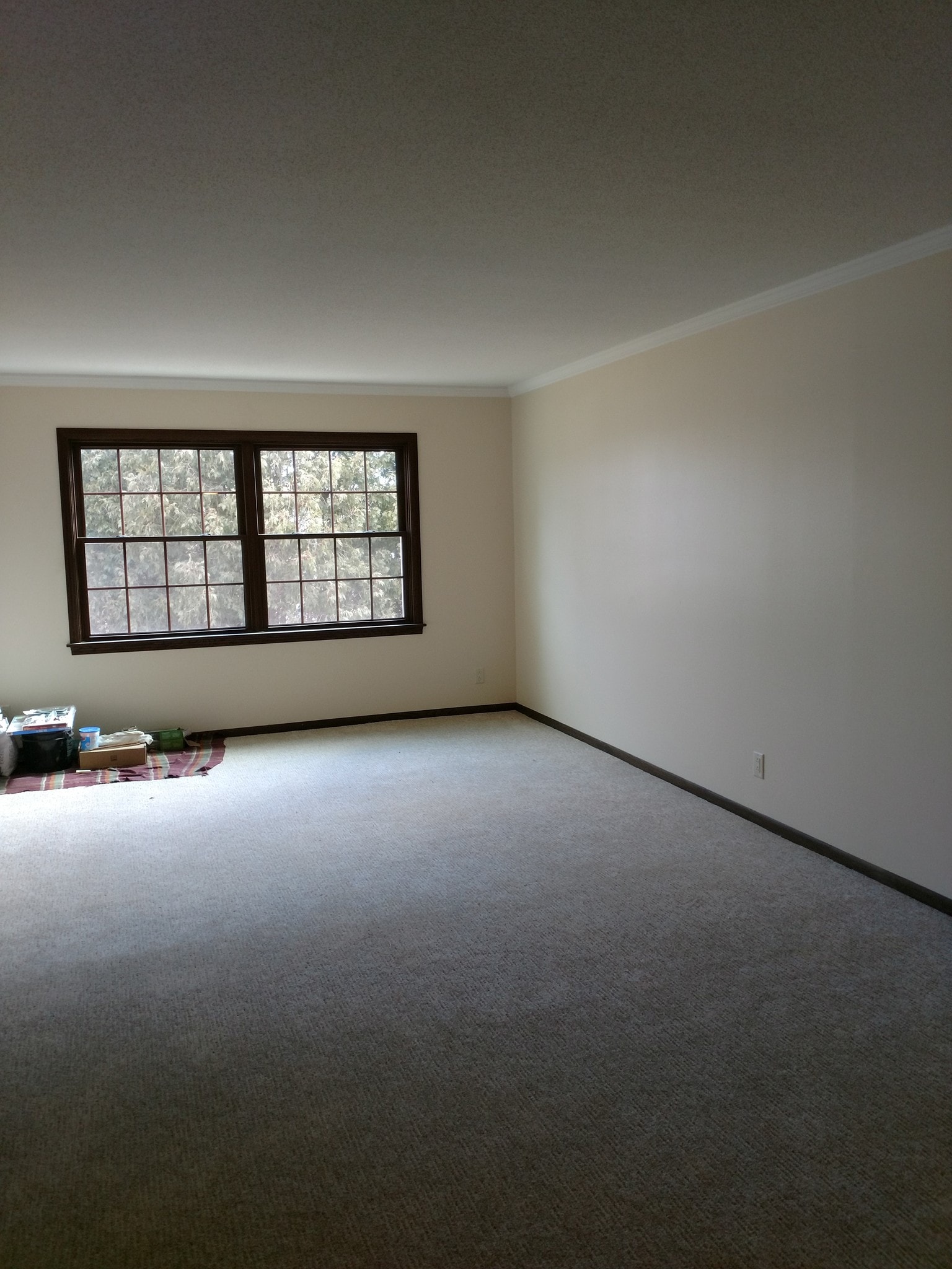 Living Rm - New Windows - 2076 Chateau Ct