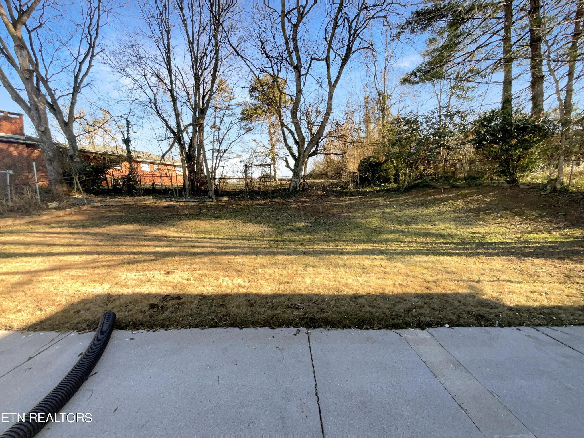 Backyard 2 - 3716 Timber Cir