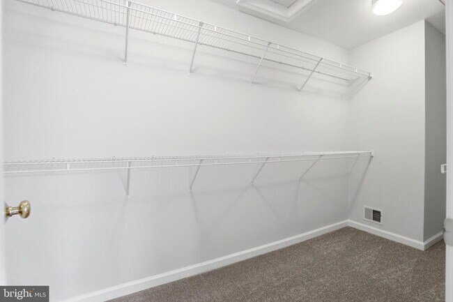 Building Photo - 6137 Manchester Park Cir