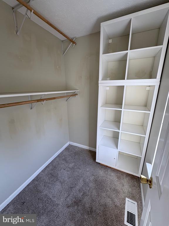 Building Photo - 2606 Windy Oak Ct