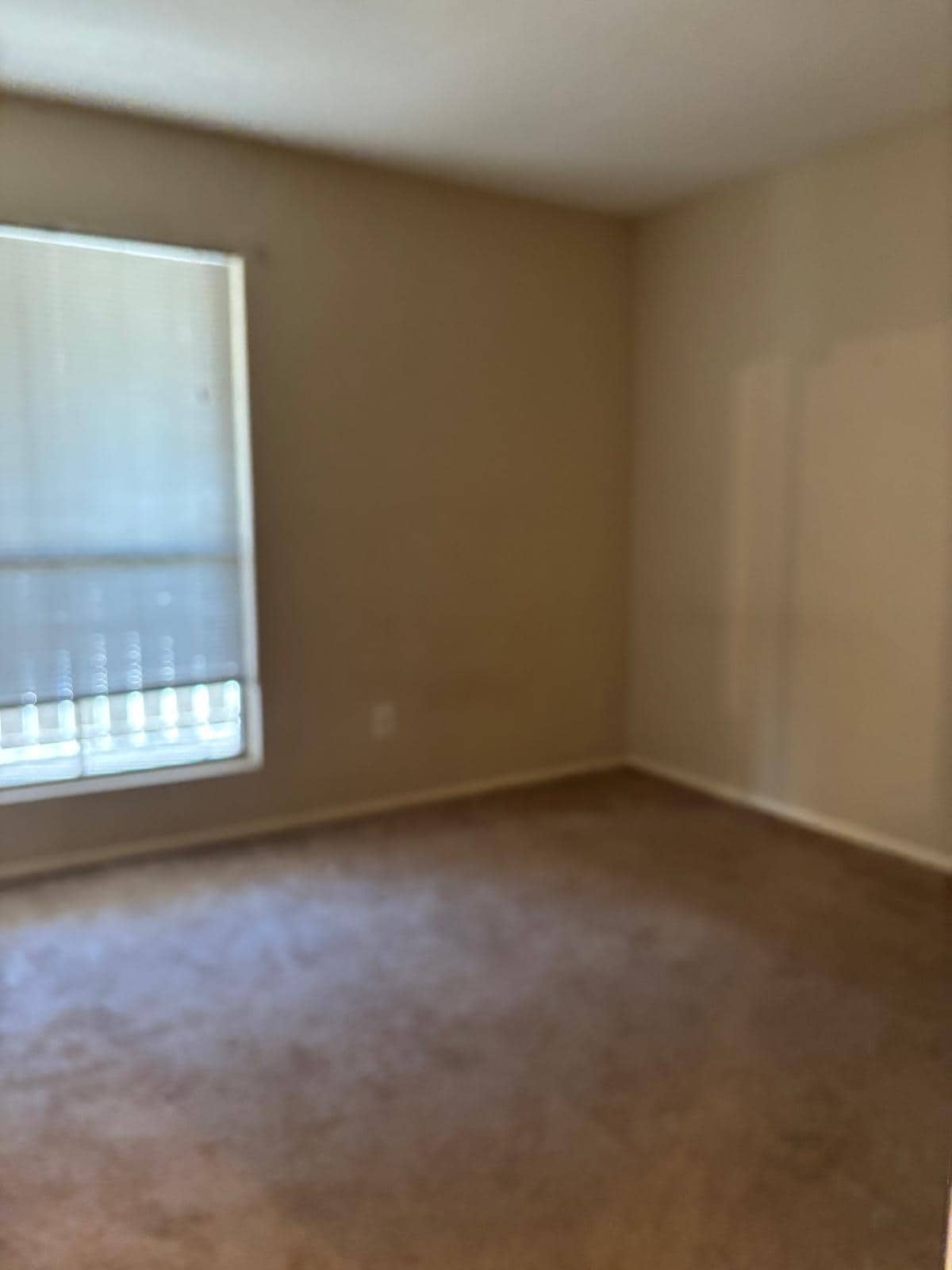 Building Photo - 5667 Birchmont Dr