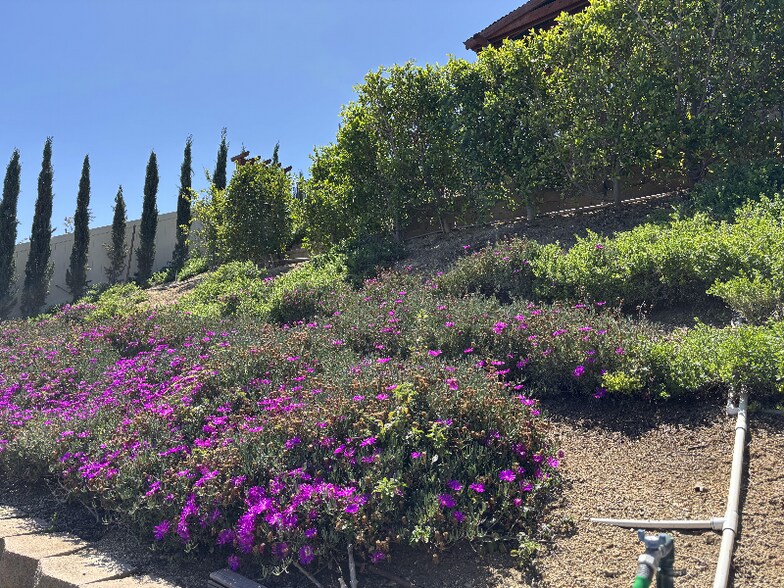 Building Photo - 20973 Bison Mesa Rd