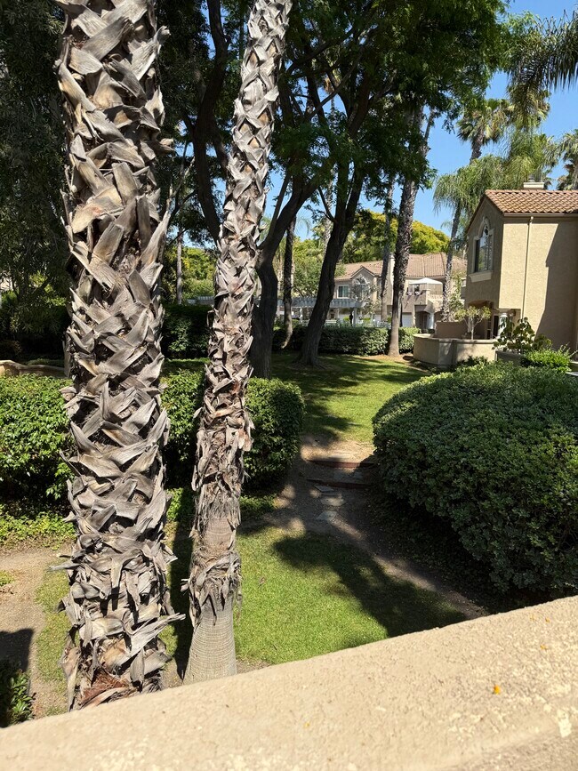 Building Photo - 11186-11182 Portobelo Dr