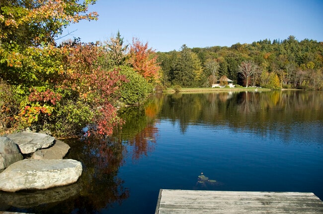 Primary Photo - 808 Brushy Mountain Rd