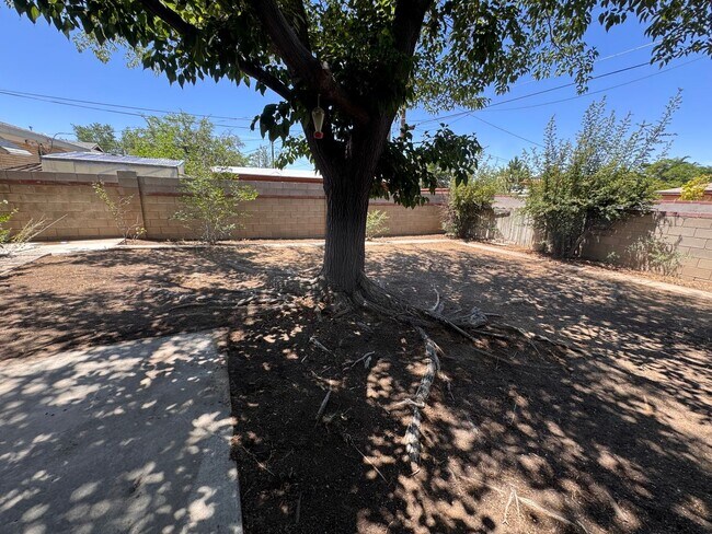 Building Photo - Beautiful 3 bedroom 2 bath home.