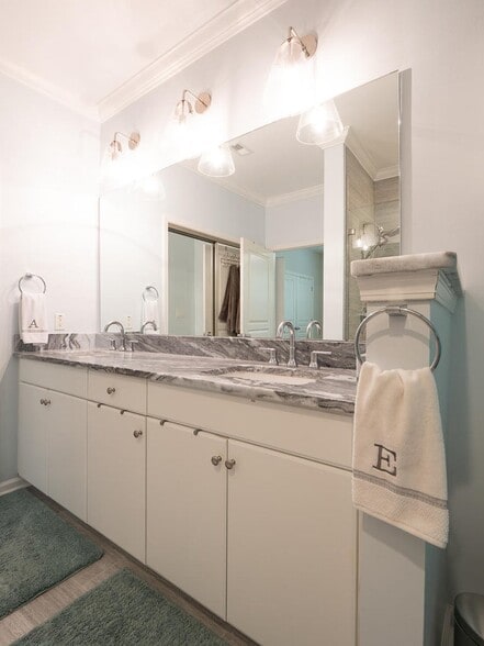 primary bath double vanity - 500 Bucksley Ln