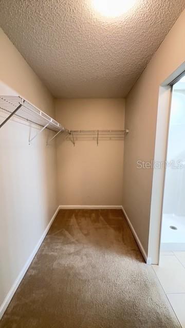 Building Photo - 13 Sleepy Hollow Trail