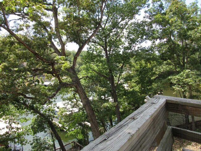 Building Photo - 2 bedroom lakefront house in Lake Ozark