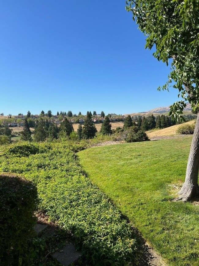 Building Photo - 785 Watson Canyon Ct