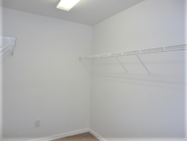 Building Photo - 12012 Citrus Leaf Dr