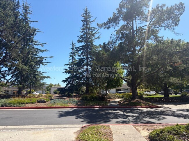 Building Photo - 1132 Callas Ln