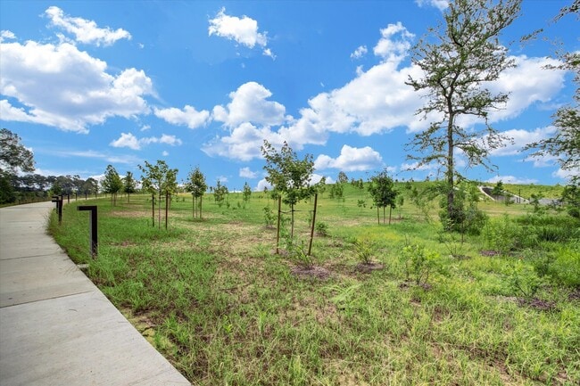 Building Photo - 1711 Allen Pkwy