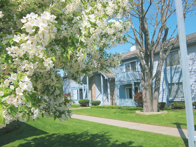 Rosemont Apartments 1795 Hudson Ave Irondequoit NY 14617 Apartment