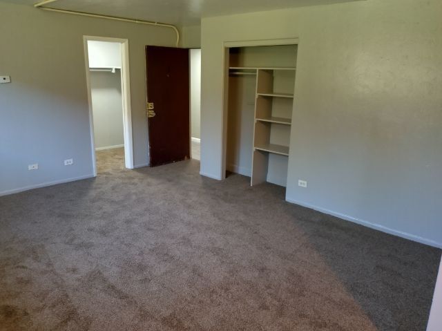 Building Photo - 1994 Elmira St