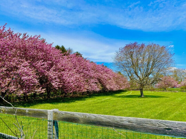 Building Photo - 274 Majors Path