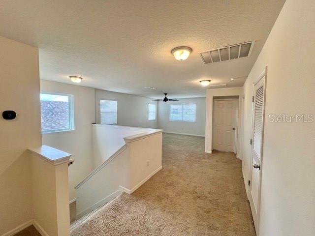 Building Photo - 1782 Blissful Dr