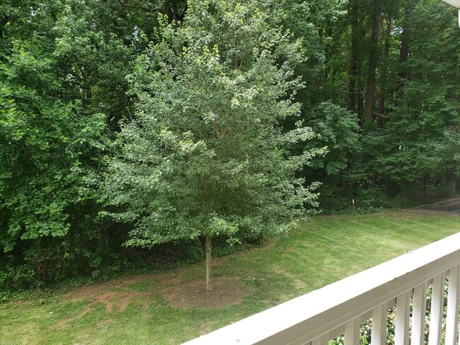 Building Photo - Lake Johnson Mews-3bd on the LAKE TRAIL!