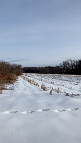 Building Photo - 80 Damon Rd