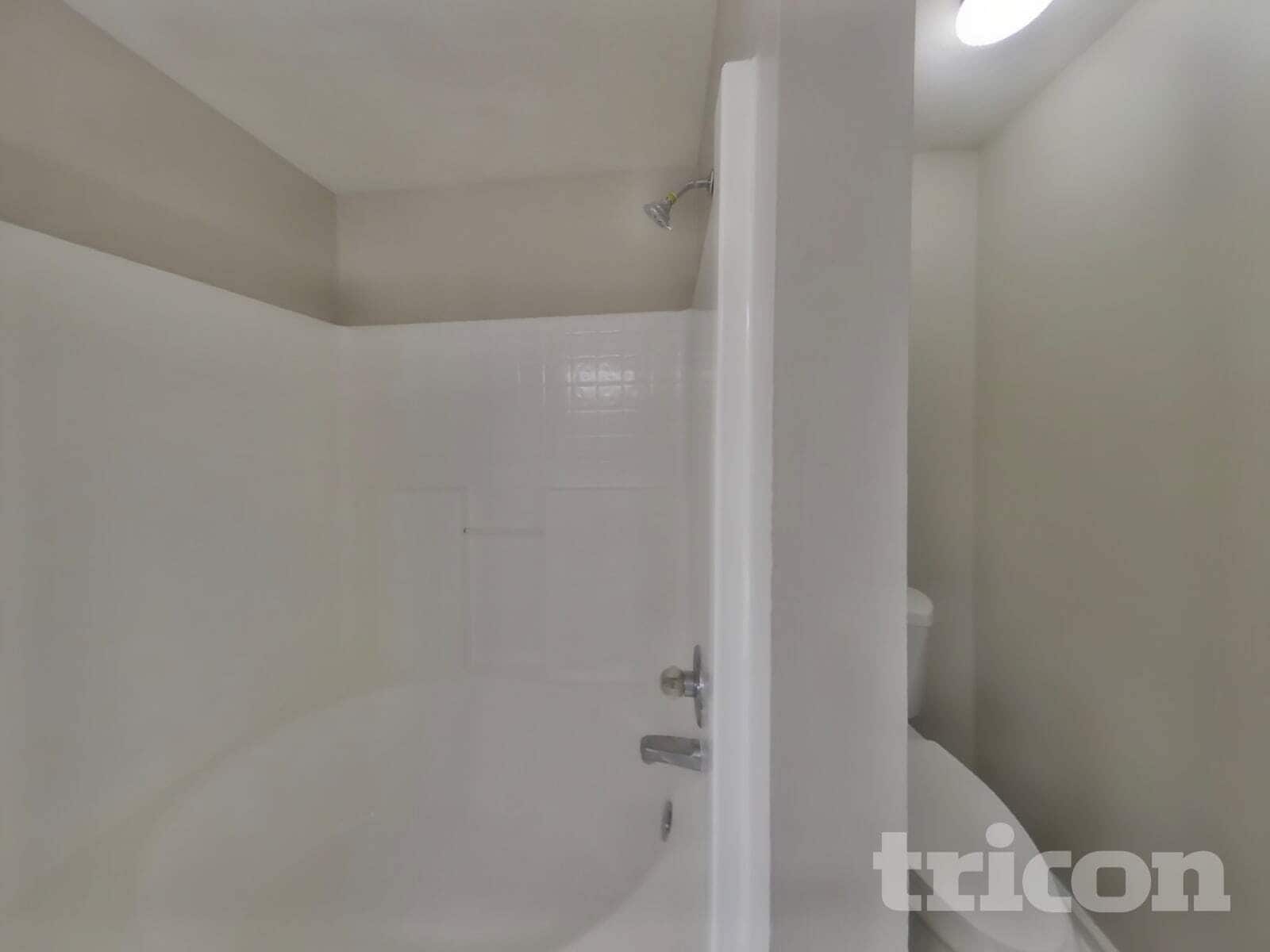 Building Photo - 1429 Cedar Springs Cir