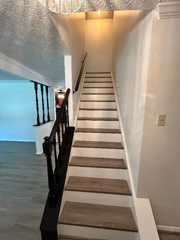 Building Photo - 1200 Cabinwood Pl