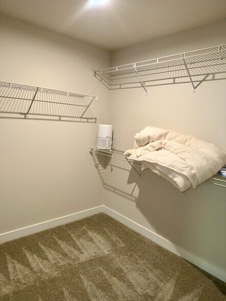 Walk In Closet - 8 Owen Ct