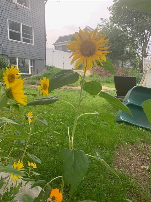 Building Photo - 94 Oakwood Ave