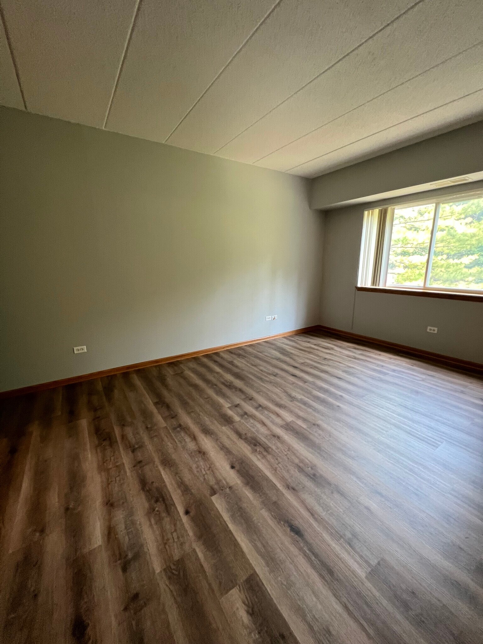 Building Photo - 943 Elderberry Cir